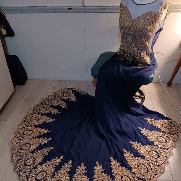 Evening Gown/Prom Dress - Picture 5 of 8